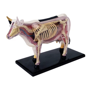 Анатомическая модель органа животного 4D, игрушка для сборки интеллекта Коровы, Обучающая Анатомическая модель, Научно-популярная техника 